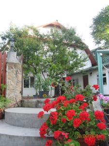 Gallery image of Attila's Guest House in Budaörs