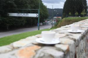 Fotografija u galeriji objekta Hotel de la Source u gradu Francorchamps