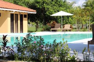 帕里托縣的住宿－Villa Mar a Lago，一个带两把椅子和遮阳伞的游泳池