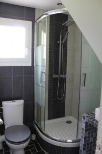 a bathroom with a shower and a toilet at Le Poule House in Guérard