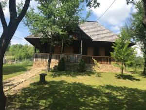 a house in a field with a tree at Granny's House in Moisei +29 photos