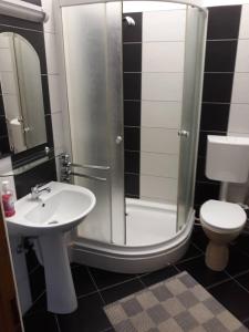 a bathroom with a shower and a sink and a toilet at Apartments Emir in Tuzla