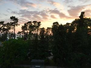 Příroda nedaleko hotelu