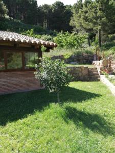 Zahrada ubytování Casa Rural Refugio Los Perdigones