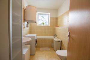 een badkamer met een wastafel, een toilet en een raam bij Apartman U Kostela in Deštné v Orlických horách