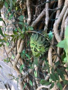 a green face in the branches of a tree at Garden Oasis in Margate