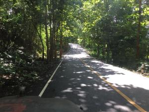 Un paisaje natural cerca de la casa de huéspedes