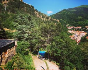 Príroda v okolí apartmánu