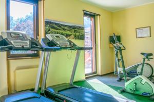 Fitness centrum a/nebo fitness zařízení v ubytování Villa San Carlo