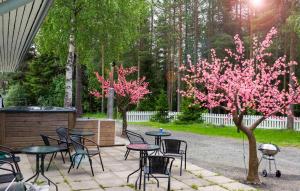 Gallery image of Capsule Hotel Ibedcity in Rovaniemi