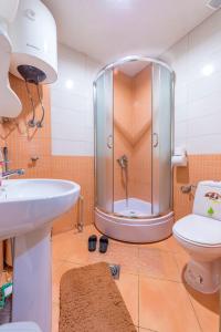 y baño con ducha, lavabo y aseo. en Apartments Magnolija, en Ohrid