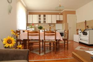 a kitchen with a table and chairs in a room at Apartman Matej in Otočac +17 photos