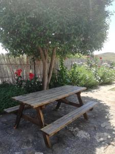 drewniany stół piknikowy siedzący obok drzewa w obiekcie Casa Los Olivos w mieście Grávalos