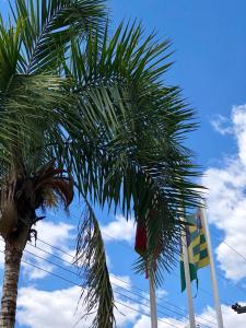 eine Palme neben einer Flagge und einige Flaggen in der Unterkunft Hotel Pousada Marista in Goiânia