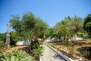 A garden outside Haus Manya in Lassy