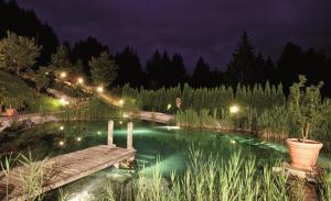 Bazen u ili blizu objekta Hotel Leitenhof 4 Sterne Superior