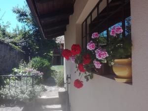 Ein Garten an der Unterkunft Na Letnim byte