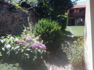 Ein Garten an der Unterkunft Na Letnim byte