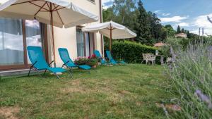 a group of chairs and umbrellas on a yard at Lavanda e Rosmarino in Miasino