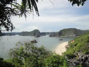 Blick auf eine Bucht mit Booten im Wasser in der Unterkunft Phuong Mai Family Hotel in Cát Bà