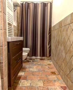 a bathroom with a brown shower curtain and a toilet at Da Vittoria in Anagni