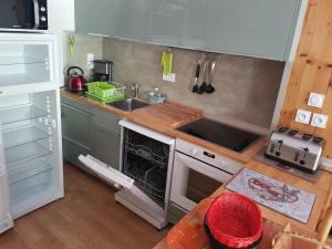 A kitchen or kitchenette at Appartement Le Ribon hotel la vanoise