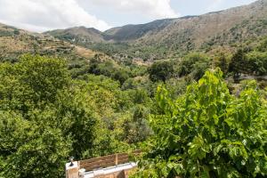 Fotografie z fotogalerie ubytování Irini΄s house v destinaci Alónai