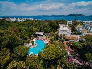 an aerial view of a resort with a swimming pool and trees at Hotel Pineta in Ischia