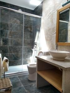 a bathroom with a sink and a toilet and a shower at Casa D.Dinis in Vide