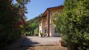 a house with a driveway and some bushes at Morianese Residence in Lucca