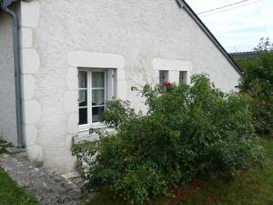 una casa blanca con dos ventanas y un arbusto en La grange de Candé en Monts