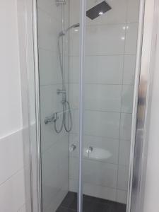 ducha con puerta de cristal y lavamanos en Eifelhof Weina en Heimbach