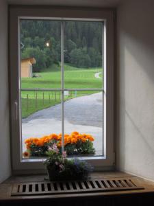 a window with a bunch of flowers on a window sill at Gasthof Sonne Häselgehr in Häselgehr