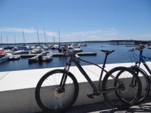 una bicicletta parcheggiata su un muro accanto a un porto turistico di Appartementhaus "Schöni" a Senftenberg