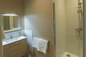 a bathroom with a shower and a sink at Le Cercle Chambres climatisées in Coligny