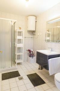 Koupelna v ubytování Apartma Joy - private beach
