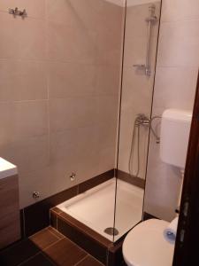 y baño con ducha y aseo. en Apartmani MW , Zuti apartman, en Baška
