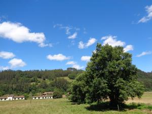 a tree in the middle of a field at Casa Estrella in Pravia