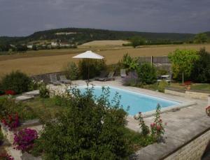a swimming pool in the middle of a garden with flowers at Le Clos Du Murier in Chassignelles