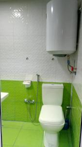 a bathroom with a toilet and a shower at Sheki Guest House in Sheki