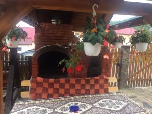 a brick fireplace with potted plants on a porch at Casa Ionela Petreus in Poienile Izei