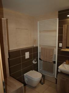 łazienka z toaletą i umywalką w obiekcie Apartman Self check in/out Vrchlabi w Vrchlabi