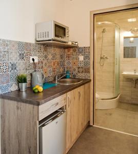 uma pequena cozinha com um lavatório e um chuveiro em Pokoje z aneksami Orla 6 em Lublin
