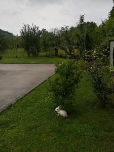 Foto dalla galleria di Guest House Balkanski Kat a Gabrovo Altre 35 foto