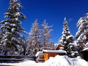 Fotografia z galérie ubytovania Camping Catinaccio Rosengarten v destinácii Pozza di Fassa
