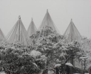 a group of christmas trees covered in snow at Kanazawa Share House GAOoo in Kanazawa