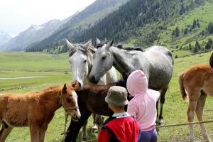 a group of children looking at horses in a field at Alakol-Jyrgalan Guest House in Dzhergalan