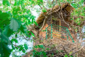 une cabane dans les arbres au milieu des arbres dans l'établissement Wildescape Polonnaruwa, à Polonnâruvâ
