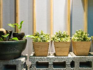 four potted plants are sitting on a table at Gwawa Hotel in Kaohsiung