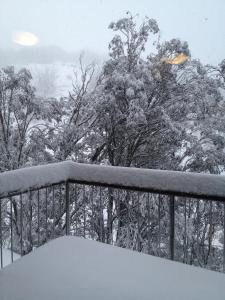 un balcone coperto di neve con alberi sullo sfondo di Maisonette, Falls Creek a Falls Creek